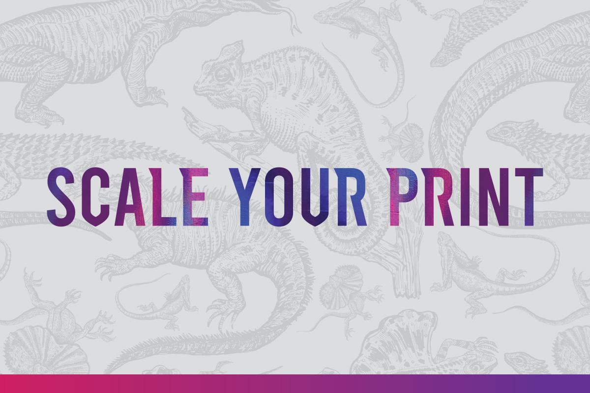 Scale Your Print