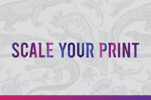 Scale Your Print